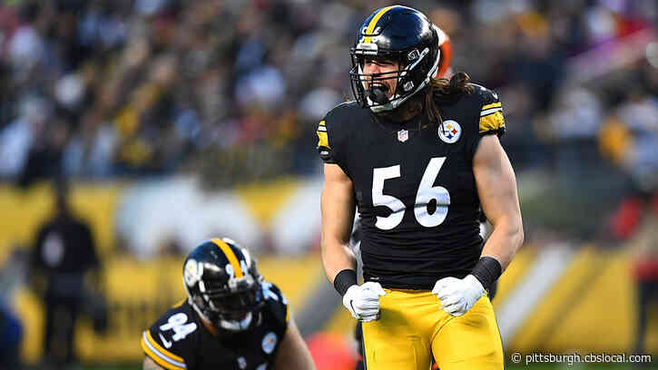 New Orleans Saints Sign Former Steelers Linebacker Anthony Chickillo