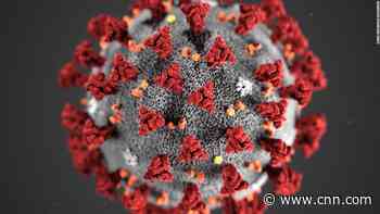 Coronavirus pandemic updates from around the globe - CNN