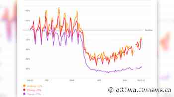 Ottawa residents more active as temperatures warm up: Apple Mobility data - CTV News Ottawa