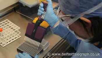 25,000 recruited ahead of launch of new coronavirus test and trace system