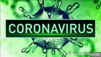 Wisconsin coronavirus deaths surpass 500, Brown and Outagamie County each report one new death - WBAY