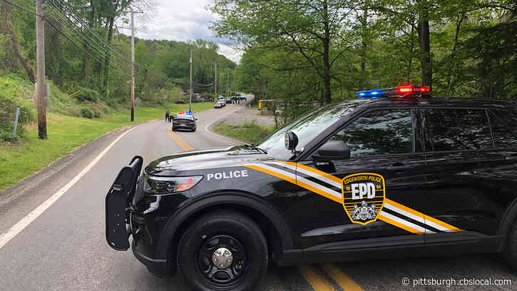Police Arrest Suspect In Deadly Hit And Run In Bell Acres