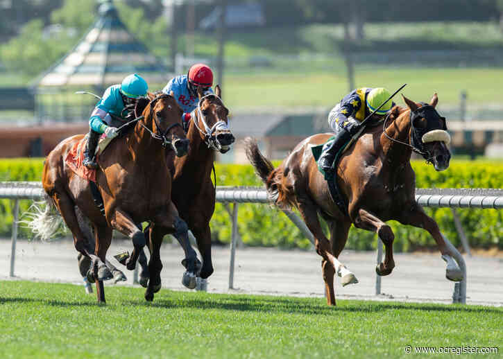 Santa Anita: United continues to improve, wins Charles Whittingham Stakes