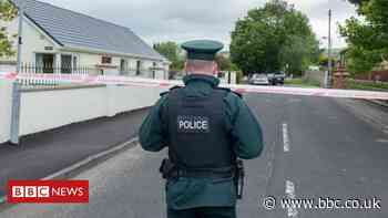 Man fled to Scotland using IRA links, court hears - BBC News