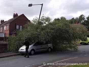 The trees that fell across Bolton as wind battered town