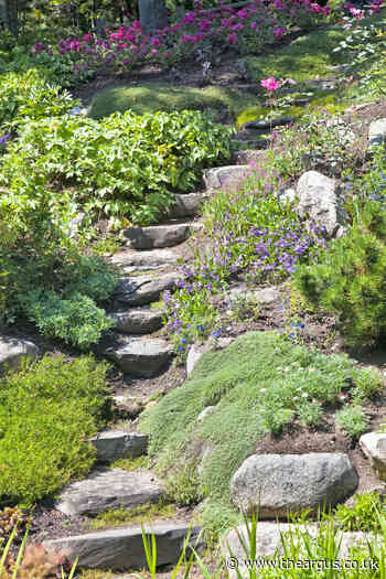 Gardening: Let nature do its thing in Wabi-sabi style