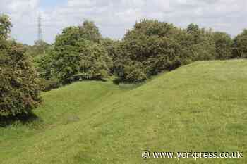 Dog kills sheep on historic moatfield at Nether Poppleton