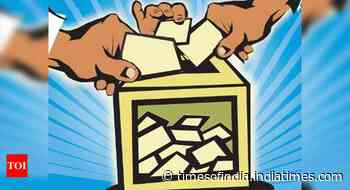 Goa: Zilla panchayat elections dates after SSC exams, says govt | Goa News - Times of India