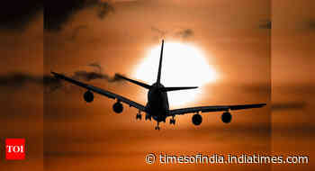 As air tickets go live, Goa braces to see 15-22 flights, 1,500 daily arrivals from Monday - Times of India