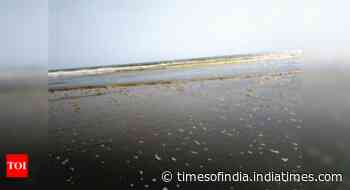 Annual eyesore: Tar balls mar several beaches across Goa - Times of India