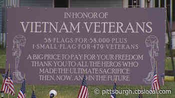 Port Vue Home Displays Flags To Honor Vietnam Veterans
