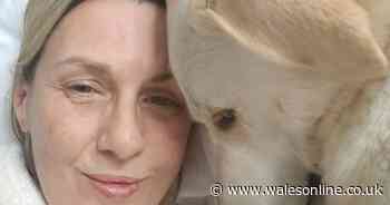 Woman says her Labrador spotted her cancer and saved her life