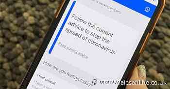 Government recruit 25,000 people ahead of coronavirus test and trace system