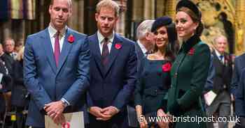 Princes William and Harry finally 'back in touch'