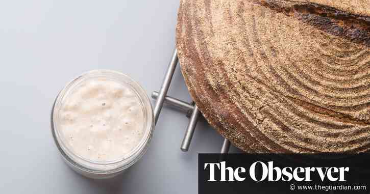 The science of making sourdough bread