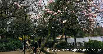 24 of the best parks in the Black Country