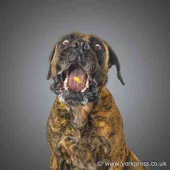 Photographer comes up with 'alternative' portrait ideas in lock down