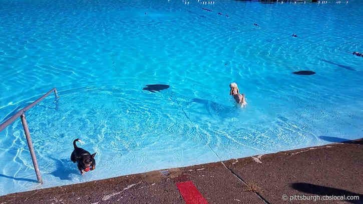 Friends Of Dormont Pool Put $25,000 Toward Reopening Pool For 100 Year Anniversary