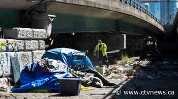 'Normal was the problem': Why one expert says we shouldn't go back to the way it was