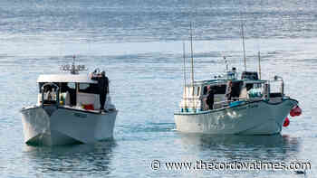 Norton Sound fisheries take COVID-19 precautions - The cordova Times