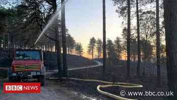 Wareham Forest fire crews 'stretched' at blaze site
