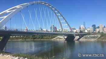 Dog rescued from river as water levels prompt safety concerns