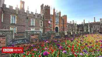 Coronavirus: Spending lockdown in Henry VIII's palace
