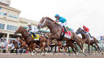 Belmont Stakes odds, predictions 2020: Surprising picks from top-rated expert who's nailed five straight races