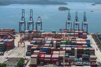 China exporters look inwards as coronavirus hits overseas markets - The Straits Times