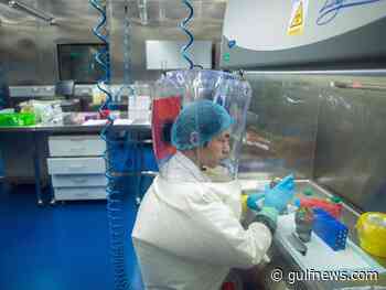 Wuhan lab had three live bat coronaviruses: Chinese state media - Gulf News