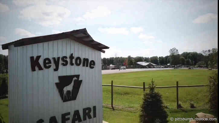 keystone safari