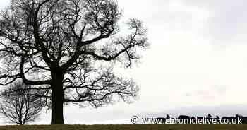 16 amazing pictures of Durham so you don't have to make an unnecessary visit