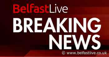 Co Down crash leaves man dead - Belfast Live