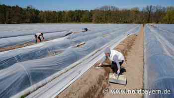 Frist verlängert: Saisonarbeitskräfte dürfen bis Mitte Juni einreisen - Nordbayern.de