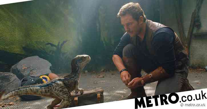 Jurassic World: Dominion ‘won’t be the end of the franchise’