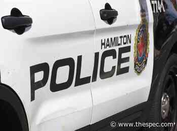 Suspected drunk driver flees Hamilton police down dead-end street - TheSpec.com