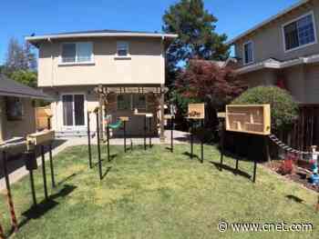 This former NASA and Apple engineer built a Ninja Warrior course for squirrels     - CNET