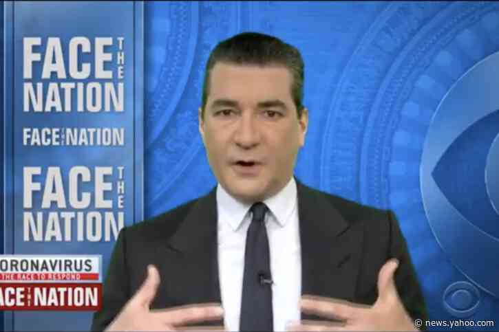 Former FDA commissioner expects people can 'enjoy some semblance' of normal life in summer months