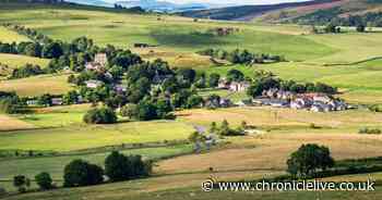 Investment in nature can help North's economy recover after lockdown