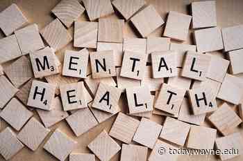 Medical students launch research project born from Warriors Strong Together, a free WSU mental health intervention - The South End