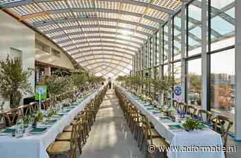 ‘ALS JE OP JE HANDEN GAAT ZITTEN BEN JE AF’