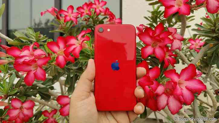 No Pixel 4a release date? Google, you’re ceding a major win to iPhone SE 2020