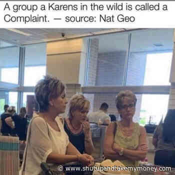 A Group Of Karens Is Called A Complaint – Meme