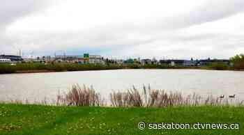 Sunshine and warm air to kick off the week: This is your Saskatoon forecast