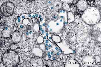 Minds behind pandemic predicting algorithm already thinking about future beyond COVID-19