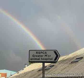 RSPCA Greater Manchester animal hospital has treated over 1,000 animals since lockdown started