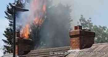 Watch Bank Holiday waste fire gone wrong as flames tear through tree