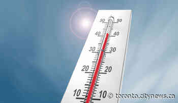 GTA under a heat warning, temperatures near 30 C expected - CityNews