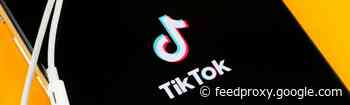 Waarom TikTok interessant is voor jouw bedrijf [infographic]