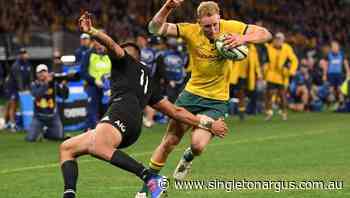 Wallabies' Hodge on fast track to success - The Singleton Argus